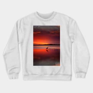 Stunning Crewneck Sweatshirt